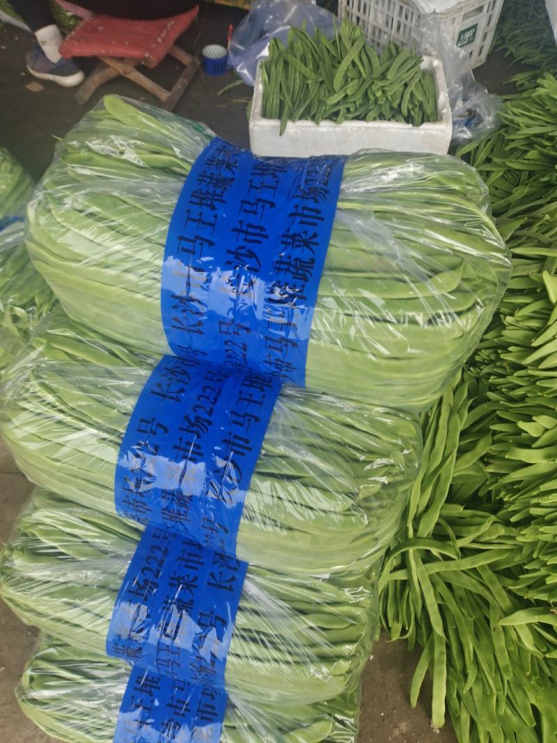 暖棚芸豆大量上市，质量好，价格便宜