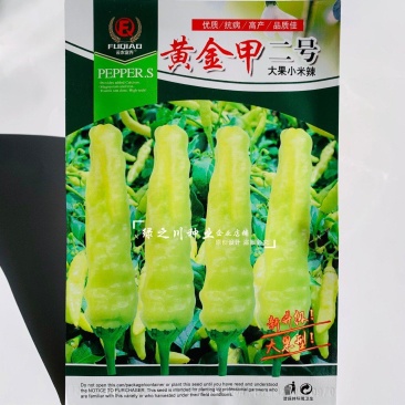 升级版大果小米辣种子黄金甲二号小米辣种籽特大号泡椒种子