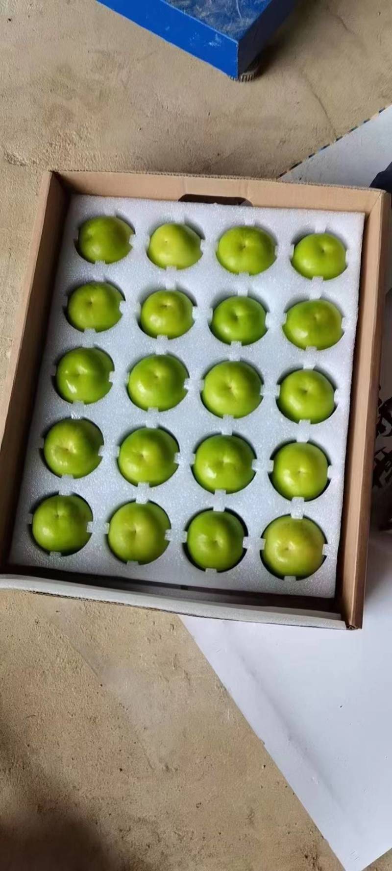 西双版纳苹果栆，全国可一件代发，实力老总欢迎对接，货量足