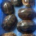大量批发南石龟，老骨头2斤起，批发价35元一斤