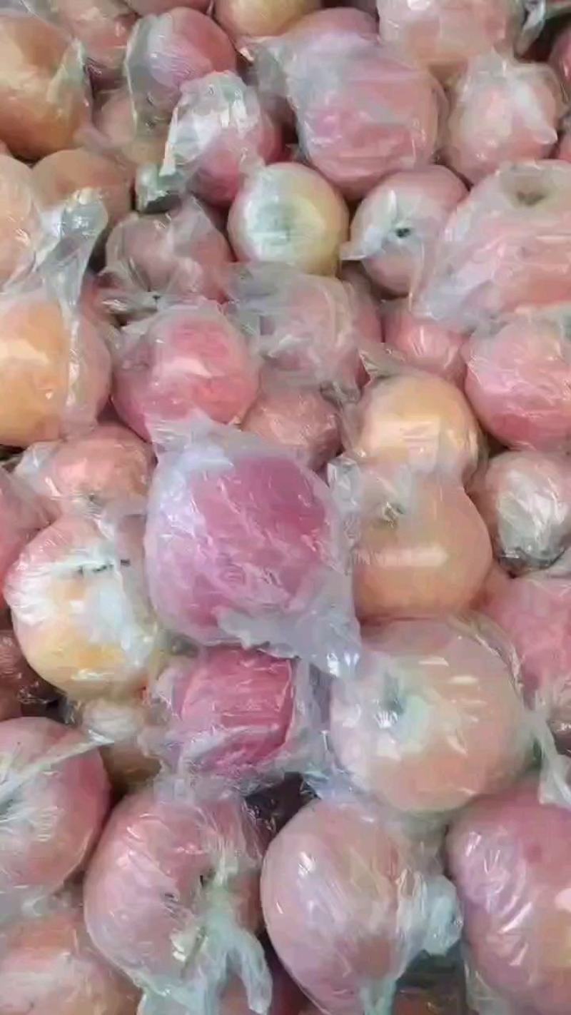 次果纸夹膜