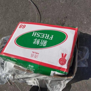 三哥牛一手货源68厂牛肚4个装6个装119厂牛肚厂家直供