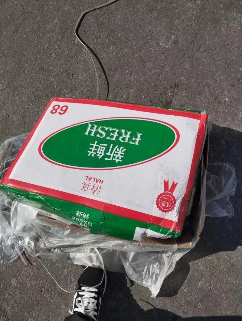 三哥牛一手货源68厂牛肚4个装6个装119厂牛肚厂家直供