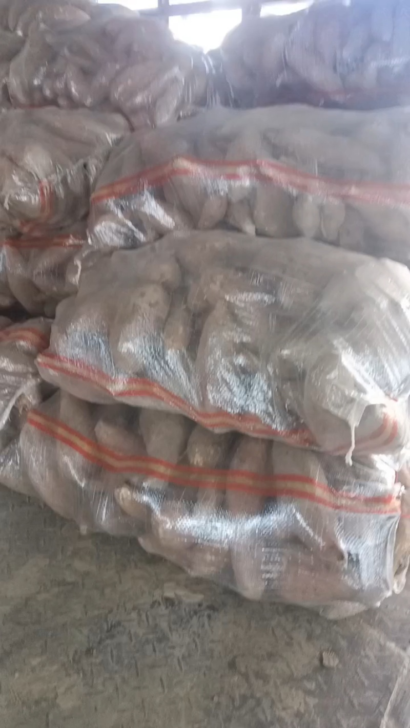 河南鲜货，龙薯红薯，，电商货，市场货，工厂货养殖场货