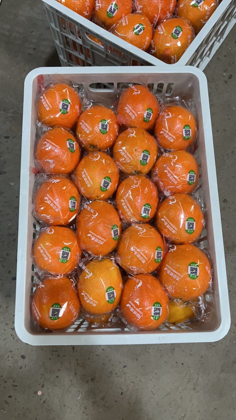 [热卖]橙子精品秭归脐橙纽荷尔脐橙湖北橙子产地直销
