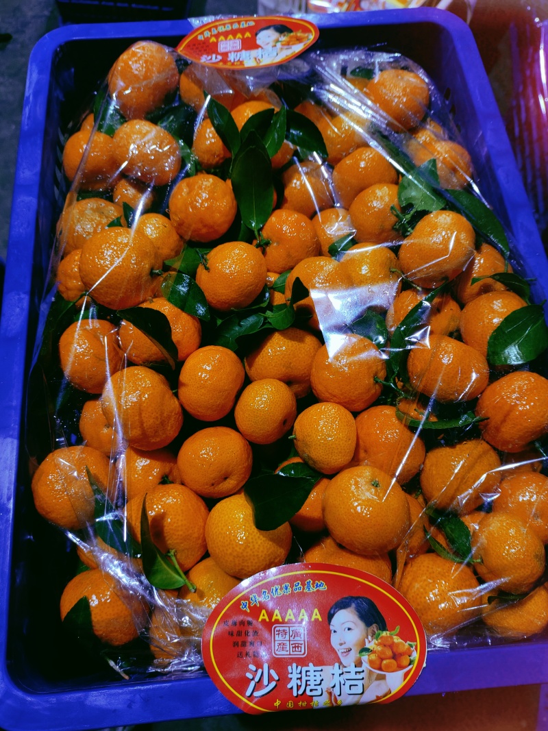 广西桂林沙糖桔，优质水果，颜色好，个头均匀。口感清甜化渣