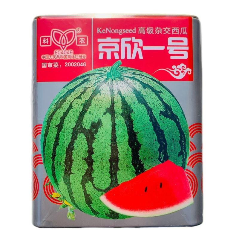 京欣一号西瓜种子味甜可口不裂果极早熟花皮圆果西瓜种籽大红