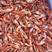 爪虾红虾夹板虾大量有货山东滨州基地直供欢迎订购