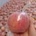 【红富士苹果】陕西苹果礼泉红富士套袋红富士大量供货