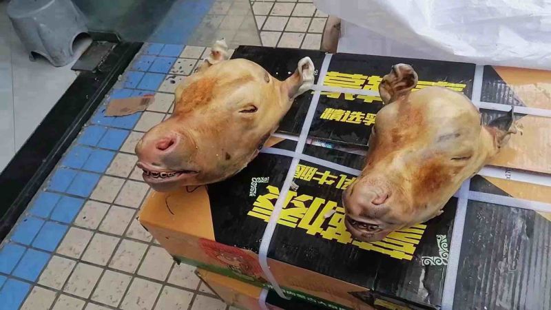 火烧毛小牛头