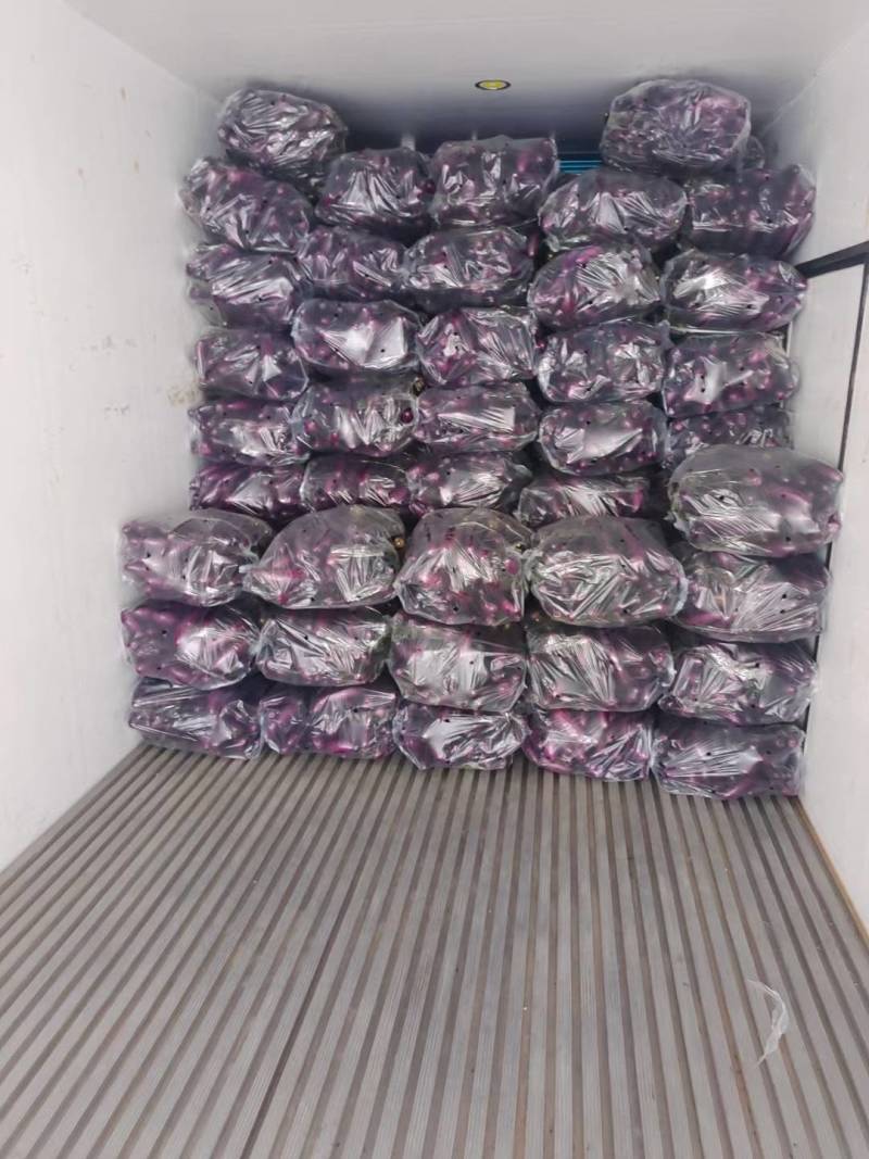 精品烧烤茄广茄红金刚茄子紫长茄基地货源欢迎来电合作