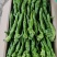 【精品螺丝椒】大量有货量大从优基地直发欢迎老板电话联系