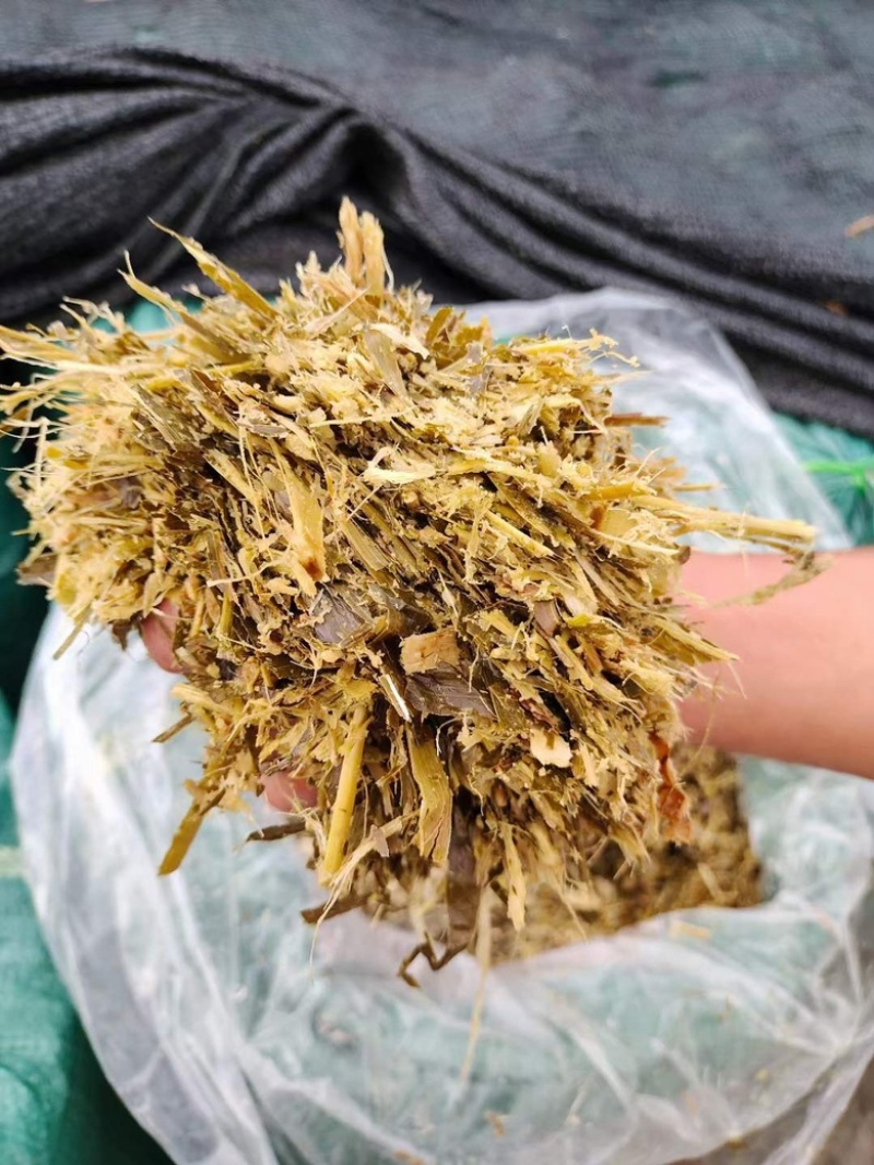 玉米秸秆青贮、黄贮、牛羊草料、青储、黄储