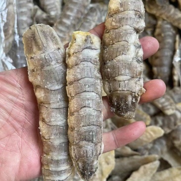 虾爬肉，货源充足，价格便宜，个头大，清理干净，干冰货