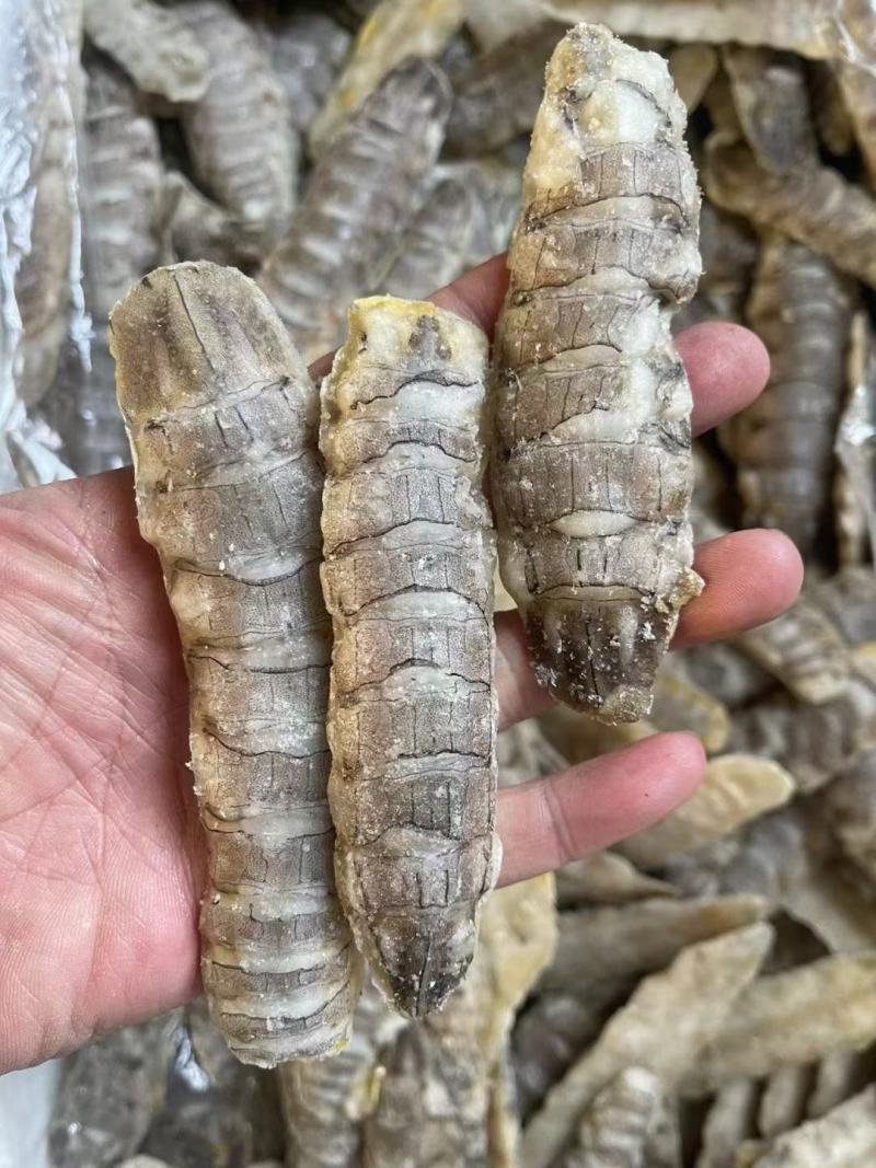 虾爬肉，货源充足，价格便宜，个头大，清理干净，干冰货