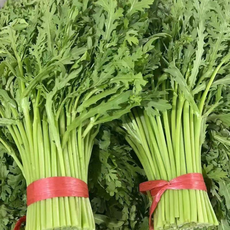 新鲜优质茼蒿，大量供应，品质保证，欢迎进店咨询采购！