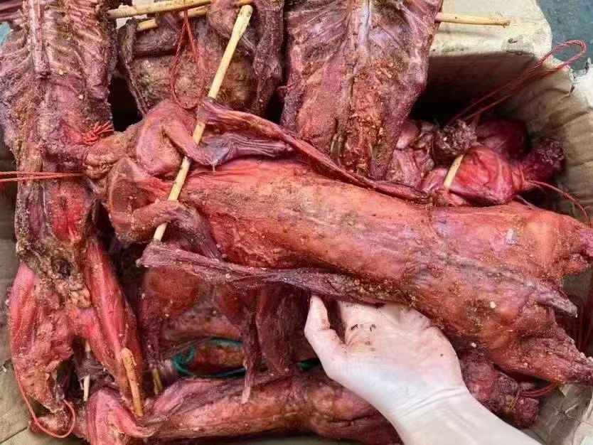 尖椒兔肉最终成品图:俯拍视角,菜肴盛于白瓷深盘中,兔肉呈琥珀红润色,尖椒丝饱满翠绿,表面浮一层透亮红油,金黄花生米与翠绿葱花清晰可见,盘底洁净无汁水,体现‘干香亮油’的川菜标准 成品尖椒兔肉装盘特写:深红油亮的兔肉丁与翠绿尖椒丝交错铺陈,点缀金黄花生米与葱花,红油微微反光,盘底无多余汤汁,呈现地道川菜油亮干香质感