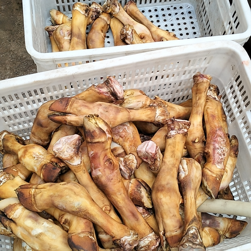 小牛蹄