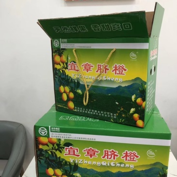 正宗纽荷尔脐橙