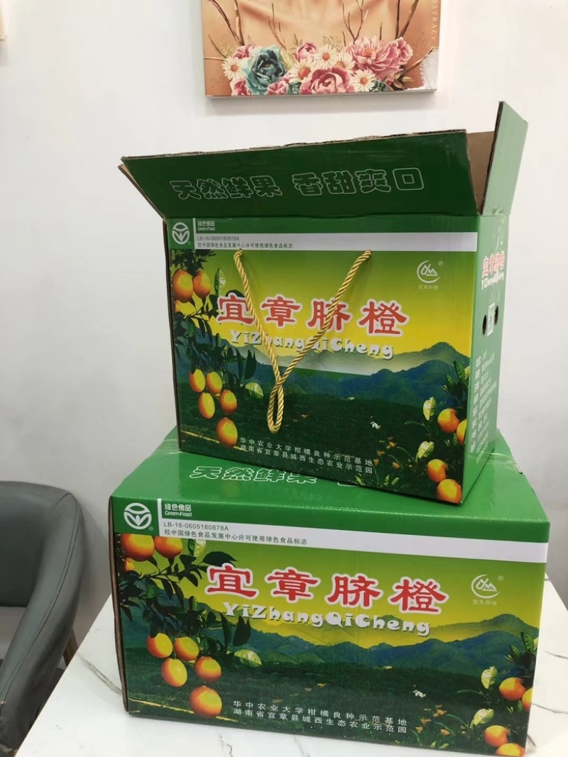 正宗纽荷尔脐橙