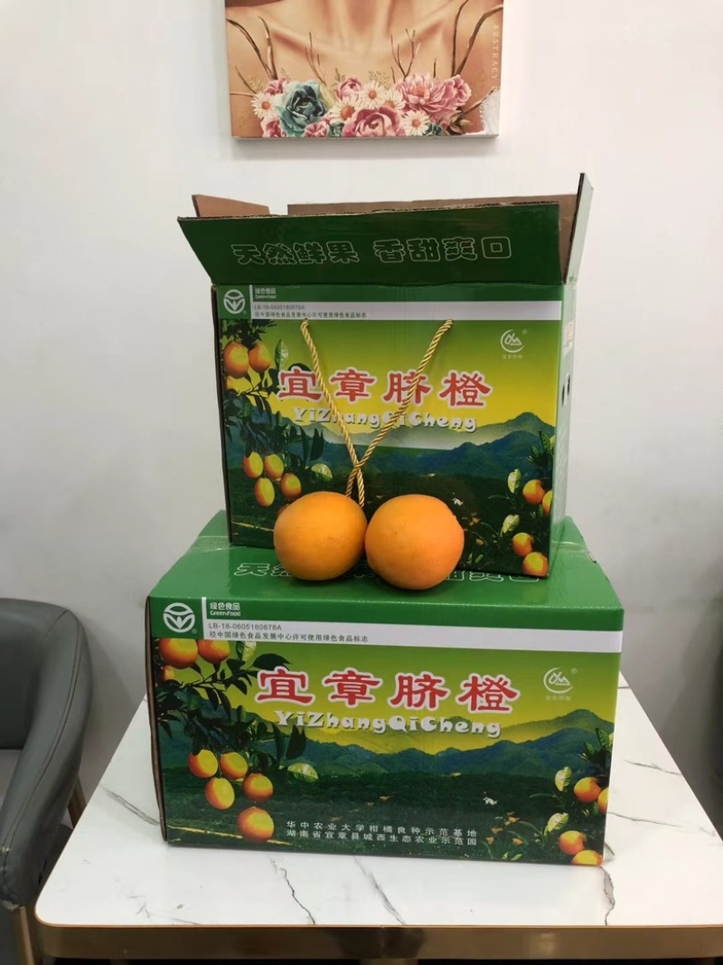 正宗纽荷尔脐橙