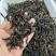 【已售200万】新茶凤凰单丛茶鸭屎香潮州乌岽茶特级乌龙茶