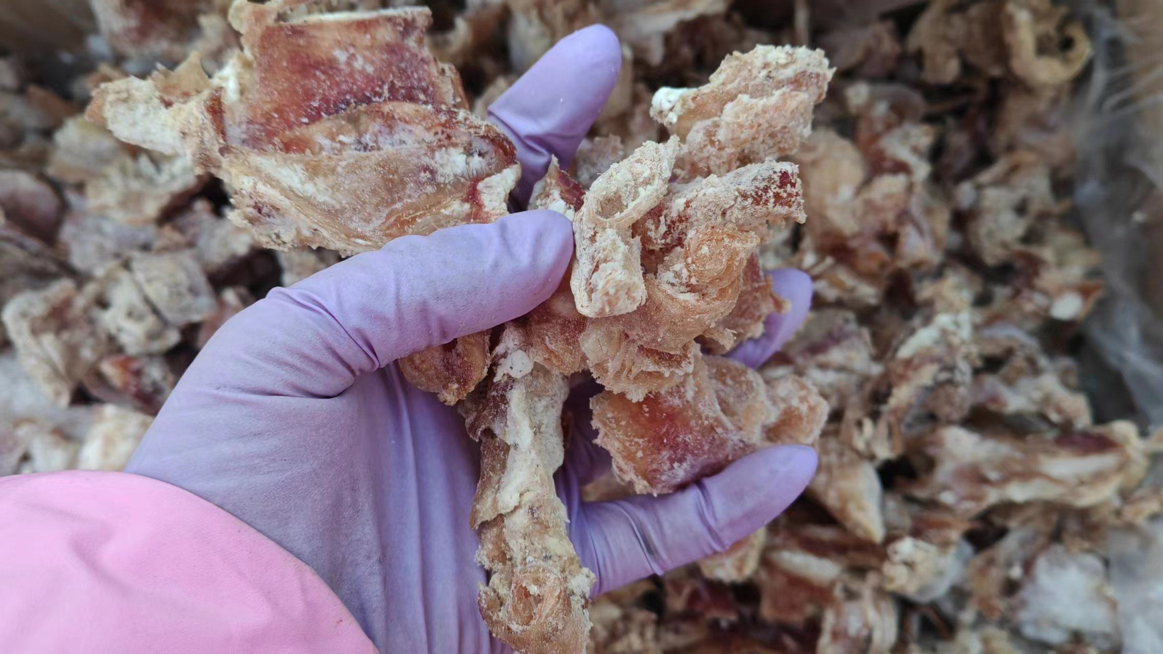 俯拍高清图:深褐色油亮牛肉块堆叠饱满,表面裹着琥珀色浓稠酱汁,隐约可见几粒山楂干碎片;旁配一小碟青翠香菜末与两片鲜山楂果作点缀,展现传统与创新吃法并存 山楂干炖牛肉成品特写