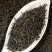 【已售200万】新茶凤凰单丛茶鸭屎香潮州乌岽茶特级乌龙茶
