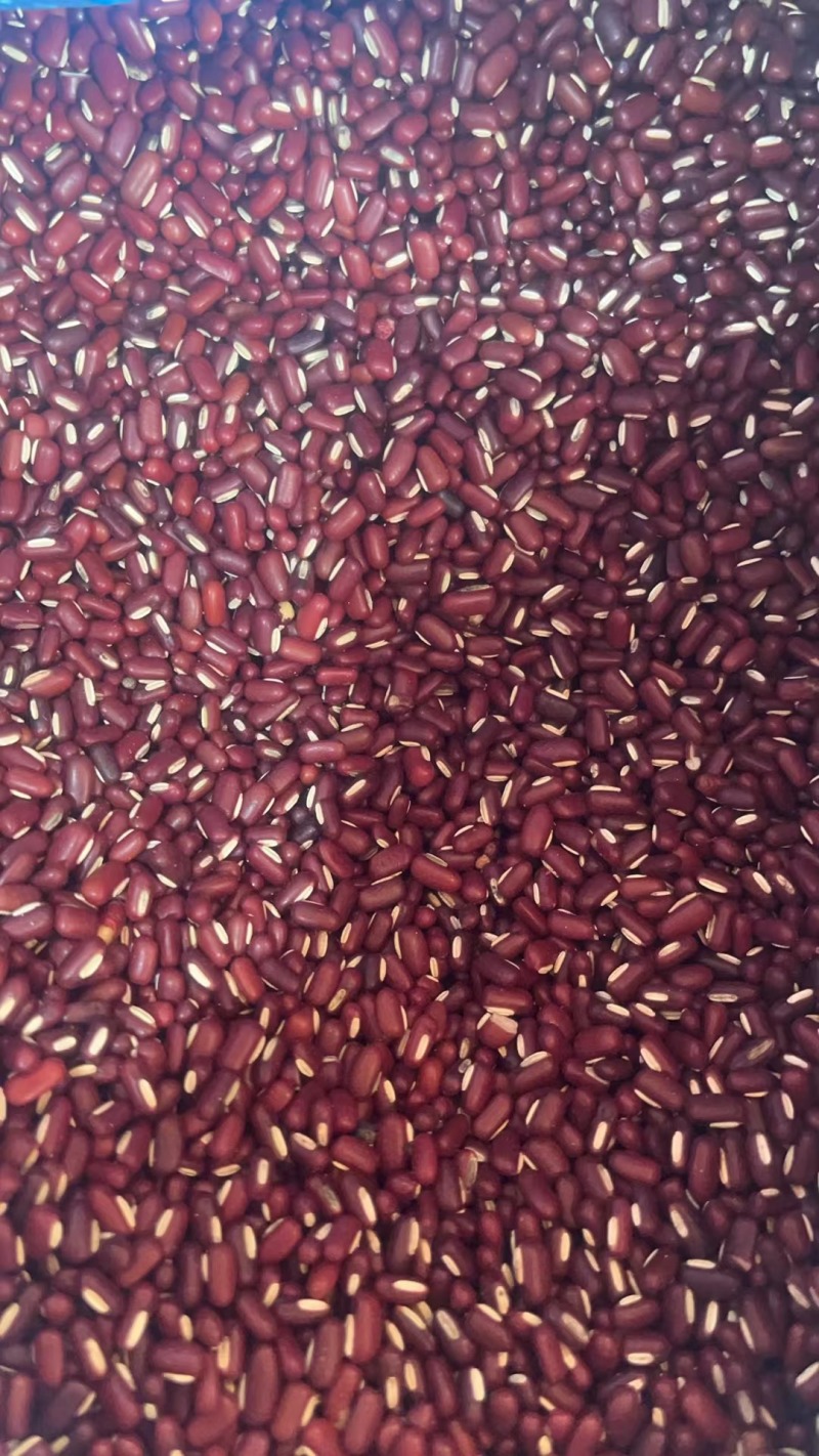 药食同源·赤小豆赤小豆500-1000克包邮