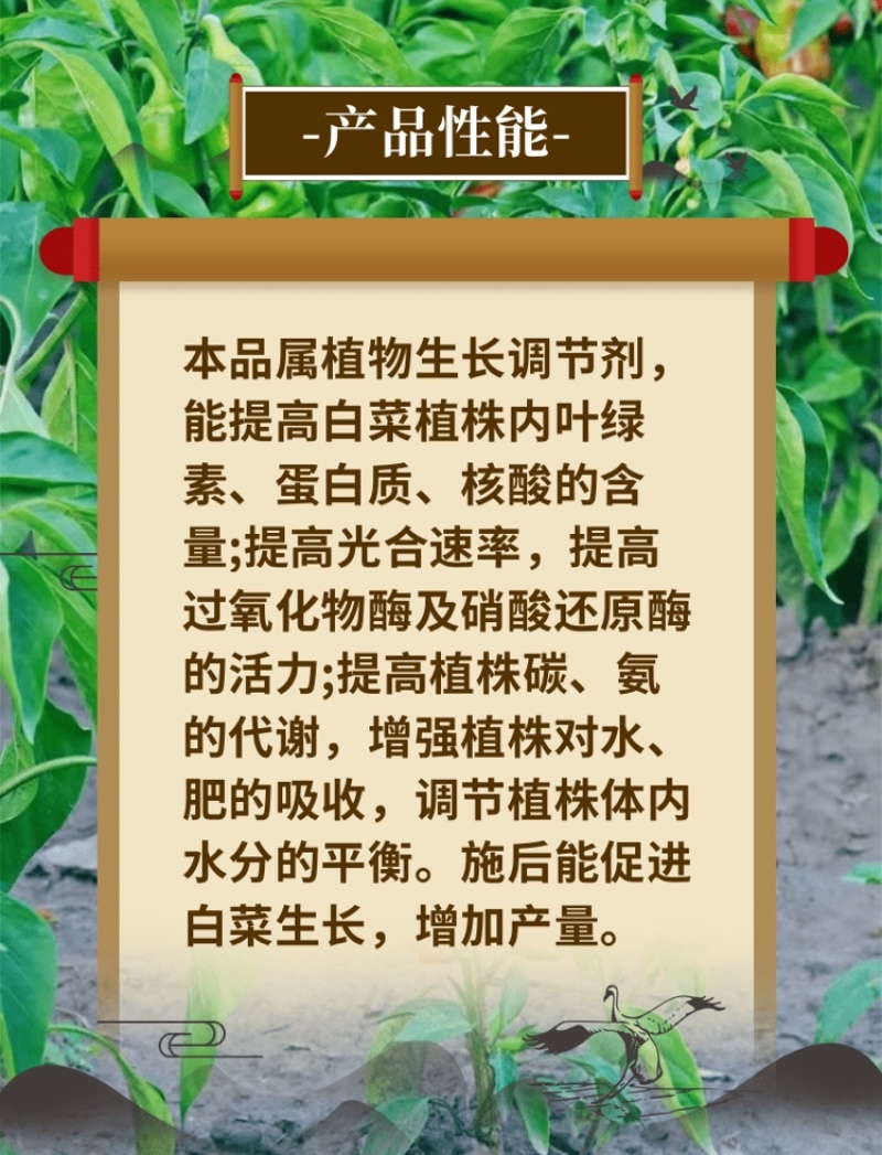 8%胺鲜酯调节剂促花果防冻抗逆生根绿叶农药农作物用