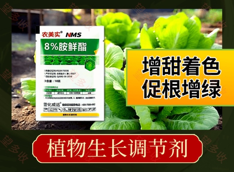 8%胺鲜酯调节剂促花果防冻抗逆生根绿叶农药农作物用