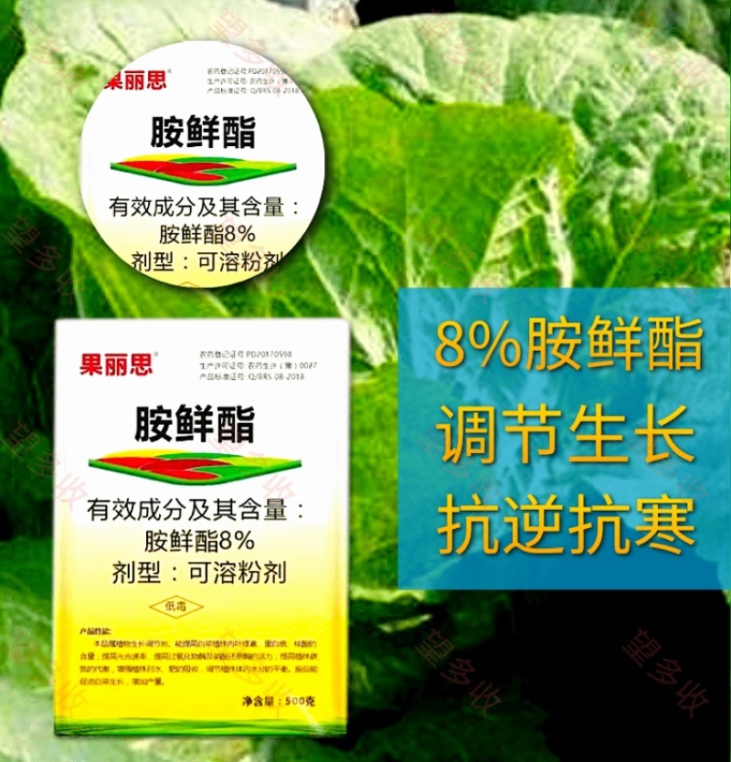 8%胺鲜酯调节剂促花果防冻抗逆生根绿叶农药农作物用
