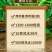 8%胺鲜酯调节剂促花果防冻抗逆生根绿叶农药农作物用