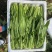新鲜油麦菜，大量供应，物美价廉，欢迎进店咨询采购！