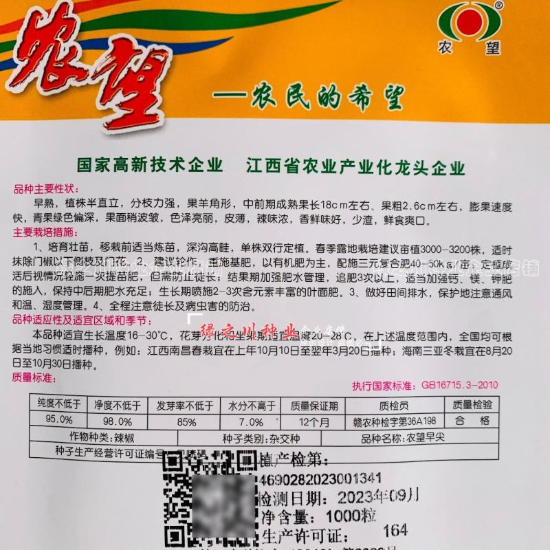 农望早尖辣椒种子皮薄味辣早熟羊角椒种子香鲜味好鲜食特好吃