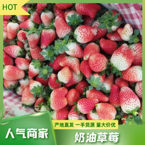 优质安徽奶油草莓新鲜个大口感好供电商商超欢迎