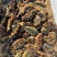 海参大量现货欢迎电话联系一件可发即食量大从优