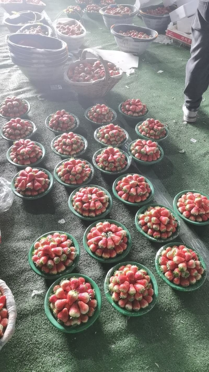 闻集直销当季新鲜天仙醉奶油草莓负责代收代发电商包装