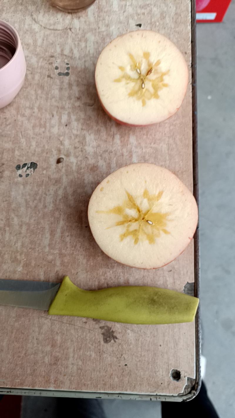 纸加膜冰糖心苹果大量现货供应中