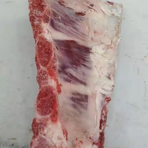牛胸骨