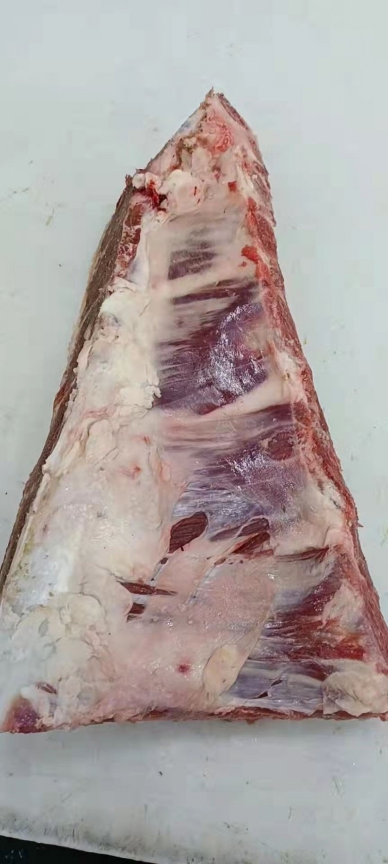 牛胸骨