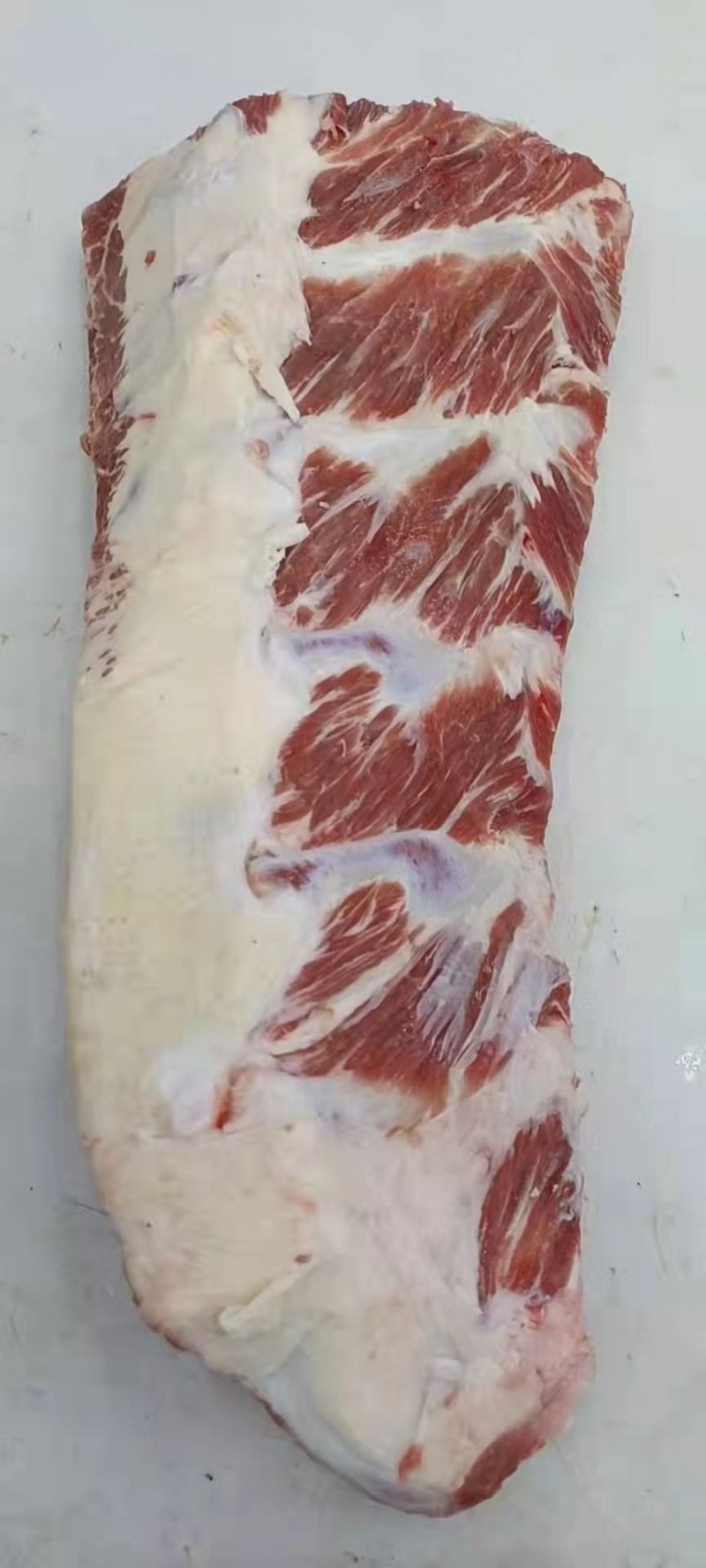 牛胸骨
