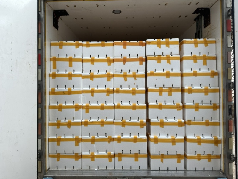 1000亩云南茨菇，自产自销