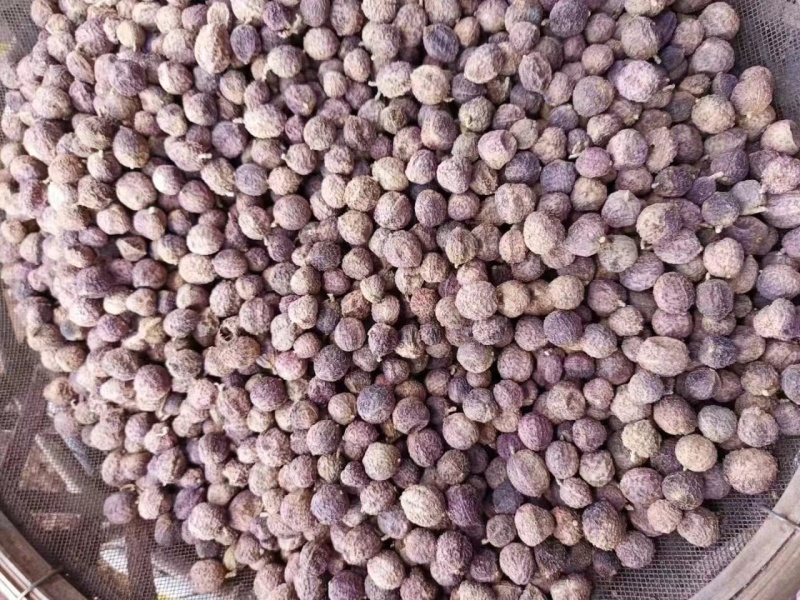 越南阳春砂仁