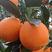 纽荷尔脐橙长虹脐橙挂树鲜橙地头果园现摘可视频看货