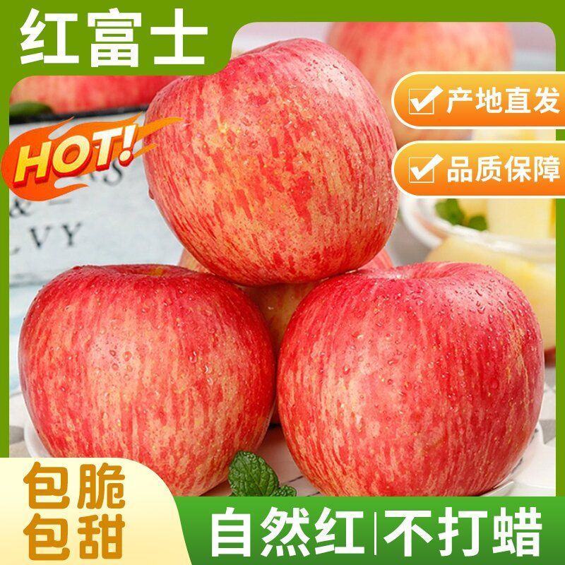 红富士苹果大量上市，对接全国市商超电商平台，欢迎新老客户