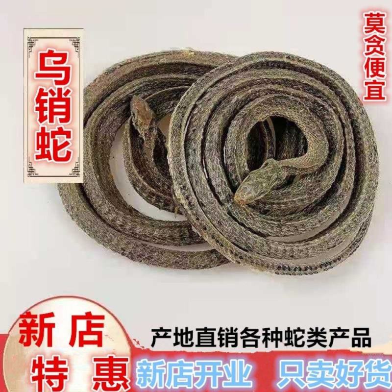 中药材店铺乌蛇整条不碎泡酒蛇整条蛇泡酒料整条产地直销