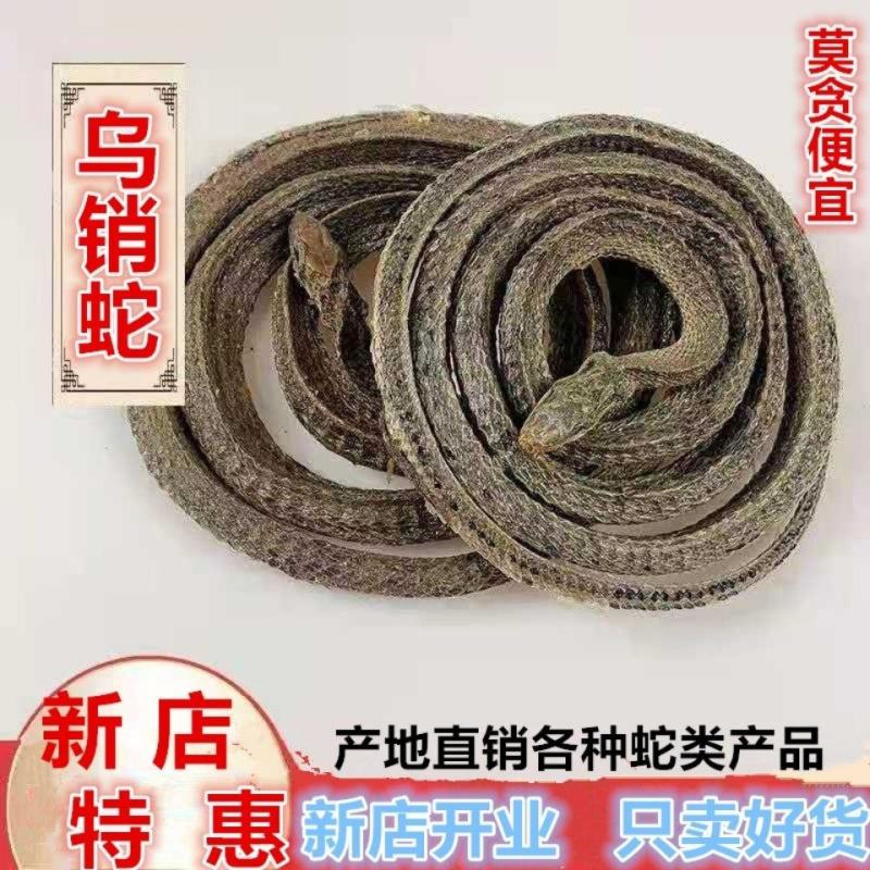 中药材店铺乌蛇整条不碎泡酒蛇整条蛇泡酒料整条产地直销