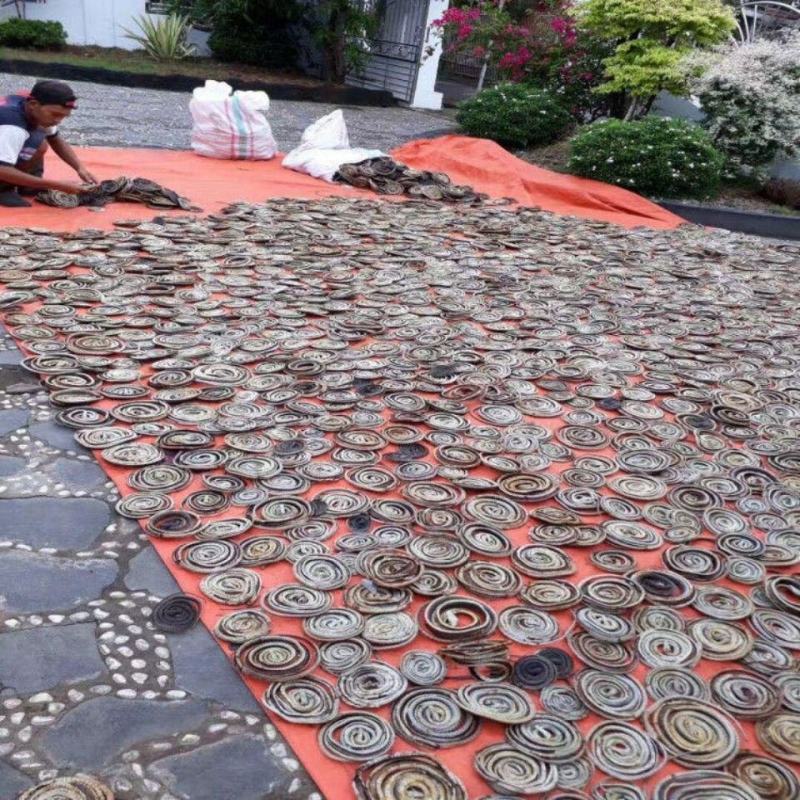 中药材店铺乌蛇整条不碎泡酒蛇整条蛇泡酒料整条产地直销