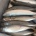 鲅鱼鲐鲅鱼路冻4-6两整箱19.5斤今年新鱼